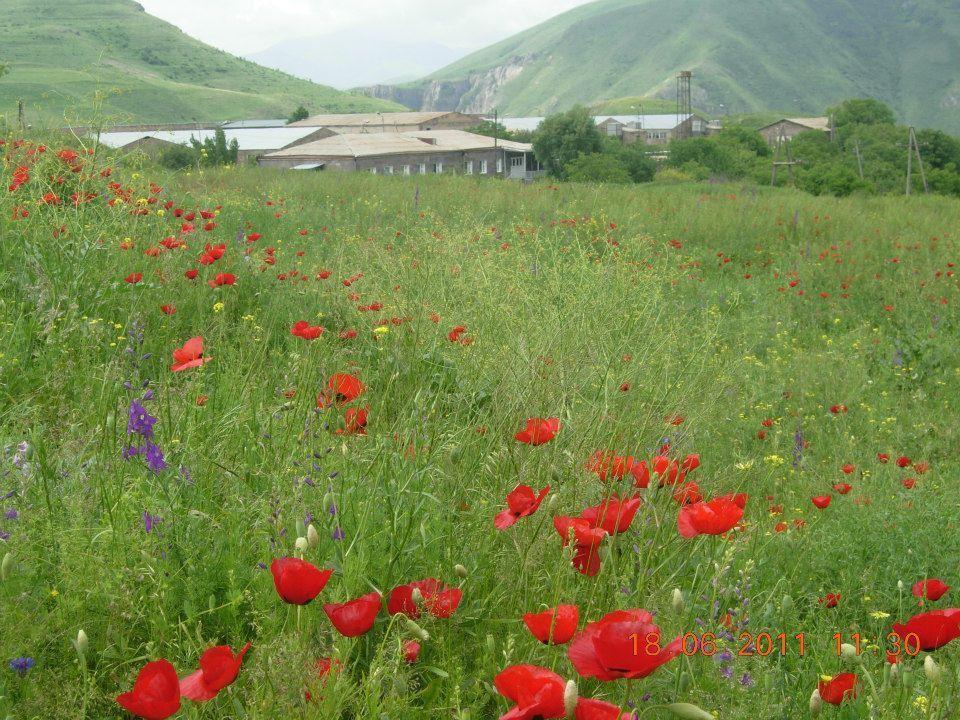 Azoyan Holiday Resort Sisian Exterior foto